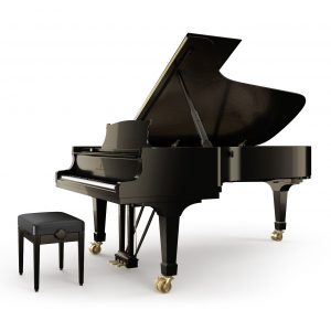 Pianoforte Steinway C-227 Alberto Napolitano Pianoforti Napoli