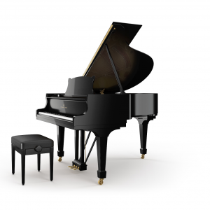 Pianoforte Steinway M-170 Alberto Napolitano Pianoforti Napoli