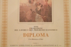 Premiazione-del-lavoro-e-del-congresso-economico---Medaglia-d'oro-dalla-Camera-di-Commercio-1997---Alberto-Napolitano-Pianoforti-Napoli